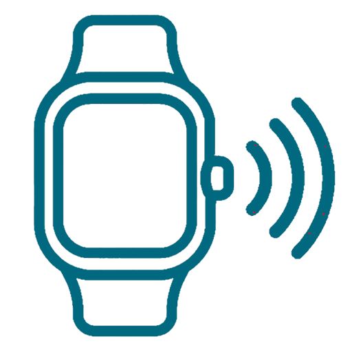 Apple Watch Anbindung