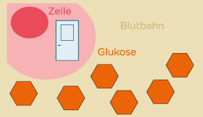 Fehlendes Insulin im Schlüssel Schloss Prinzip Fehlendes Insulin im Schlüssel Schloss Prinzip